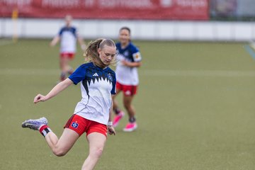Bild 348 - wBJ Hamburger SV - FC Suederelbe : Ergebnis: 9:0